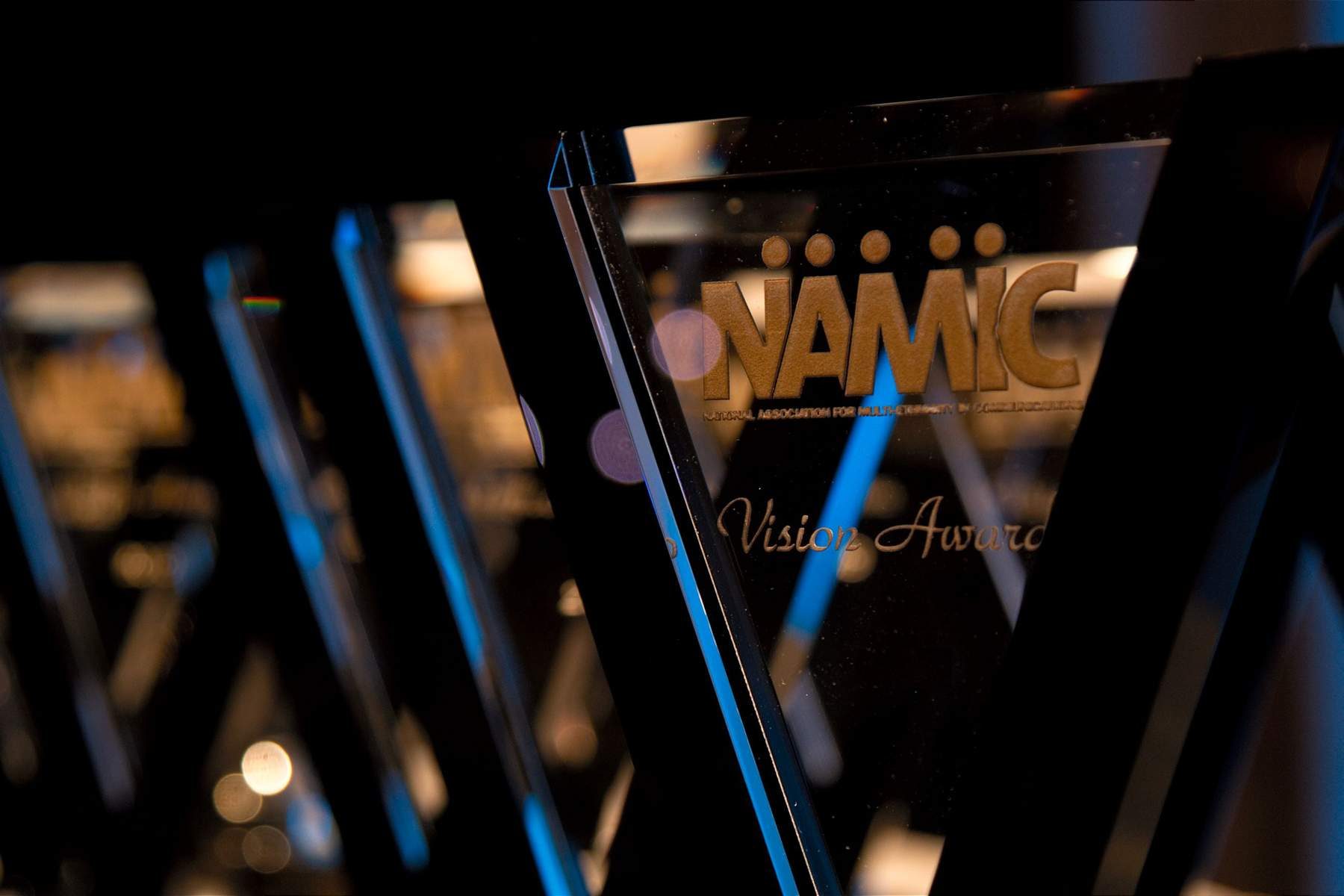 NAMIC-Vision-Awards