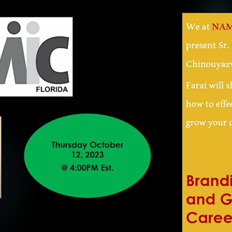 NAMIC-Florida Branding Yourself and Growing Your Career