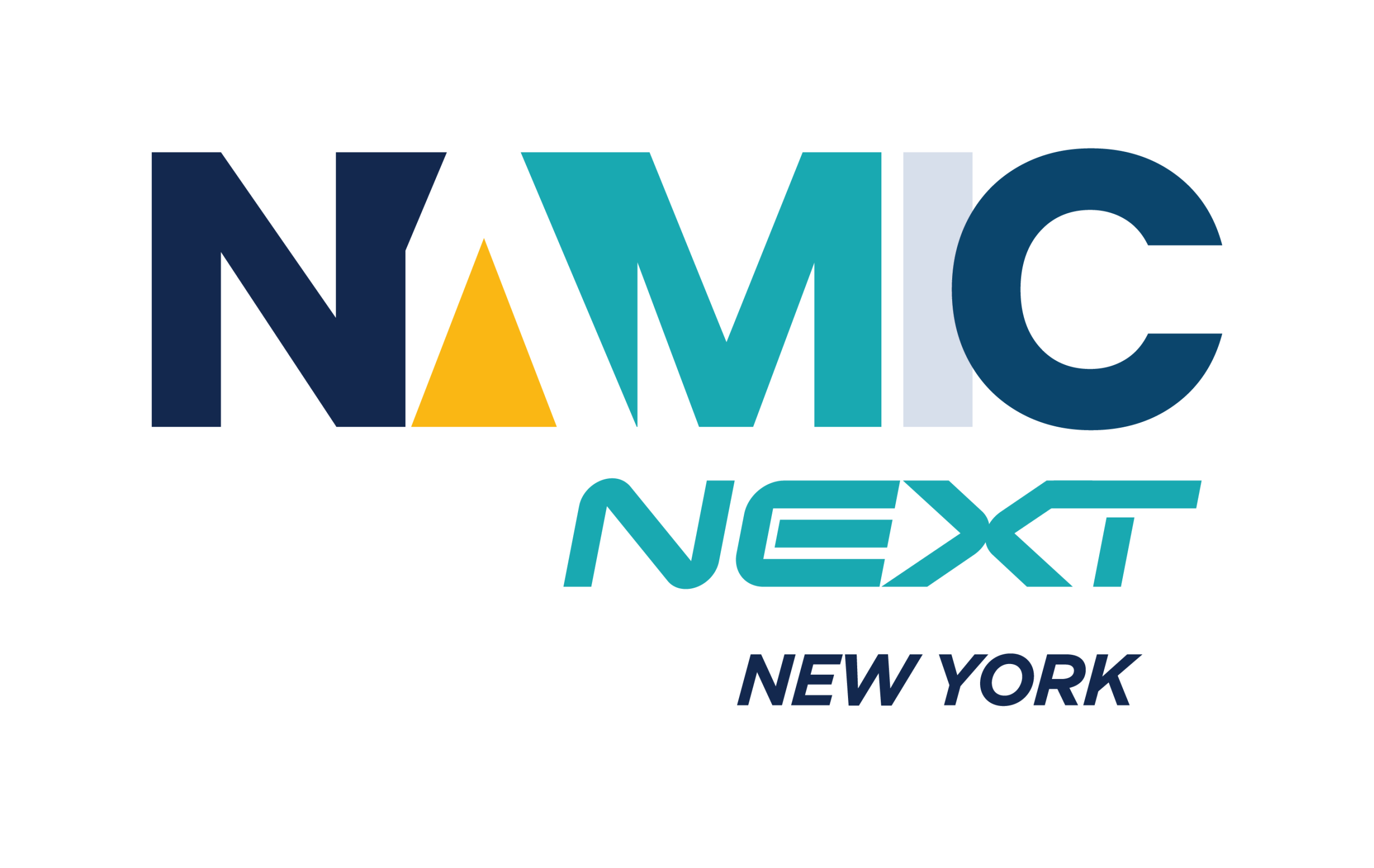 NAMIC-New York » NAMIC Next » Multi-ethnic Diversity in the